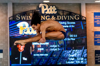 NCAA Swimming & Diving: West Virginia Mountaineers at Pitt Panthers