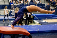 NCAA Gymnastics: West Virginia Mountaineers at Pitt Panthers