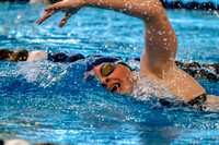NCAA Swimming & Diving: Florida State Seminoles at Pitt Panthers