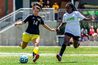 WPSL: Steel City FC vs Michigan Lions