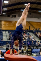 NCAA Gymnastics: West Virginia Mountaineers at Pitt Panthers