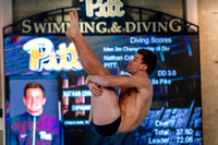 NCAA Swimming & Diving: West Virginia Mountaineers at Pitt Panthers