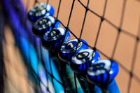 NCAA Softball: Virginia Tech Hokies at Pitt Panthers