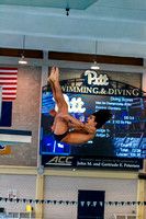 NCAA Swimming & Diving: West Virginia Mountaineers at Pitt Panthers
