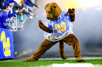 NCAA Football: Georgia Tech Yellow Jackets at Pitt Panthers