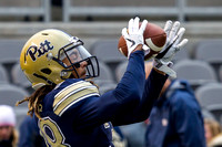 NCAA Football:  Syracuse Orange at Pitt Panthers