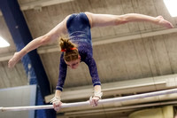 NCAA Gymnastics: West Virginia Mountaineers at Pitt Panthers