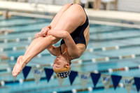 NCAA Swimming & Diving: Pitt Panthers Western Pennsylvania Invite