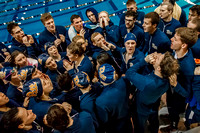 NCAA Swimming & Diving: Florida State Seminoles at Pitt Panthers