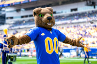 Kent State Golden Flashes at Pitt Panthers