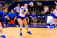 NCAA Volleyball: Iona Gaels at Pitt Panthers