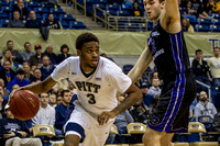 Pitt Panthers vs Central Arkansas Bears Basketball