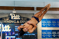 Pitt Panthers vs West Virginia Mountaineers Swimming & Diving vs West Virginia