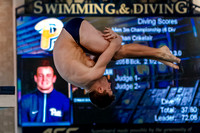 NCAA Swimming & Diving: West Virginia Mountaineers at Pitt Panthers