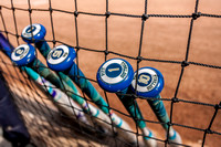 NCAA Softball: Boston College Eagles at Pitt Panthers