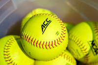 NCAA Softball: Georgia Tech Yellow Jackets at Pitt Panthers
