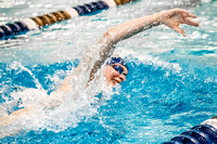 NCAA Swimming & Diving: Florida State Seminoles at Pitt Panthers