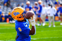 NCAA Football: Cal Golden Bears at Pitt Panthers