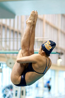 NCAA Swimming & Diving: Pitt Panthers Western Pennsylvania Invite