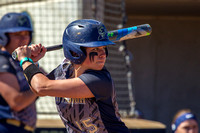 Pitt Panthers vs Virginia Cavaliers Softball