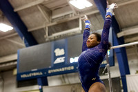 NCAA Gymnastics: West Virginia Mountaineers at Pitt Panthers