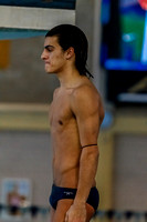 NCAA Swimming & Diving: West Virginia Mountaineers at Pitt Panthers