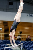 NCAA Gymnastics: North Carolina Tar Heels at Pitt Panthers