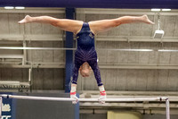 NCAA Gymnastics: West Virginia Mountaineers at Pitt Panthers