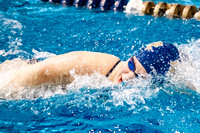 NCAA Swimming & Diving: Florida State Seminoles at Pitt Panthers