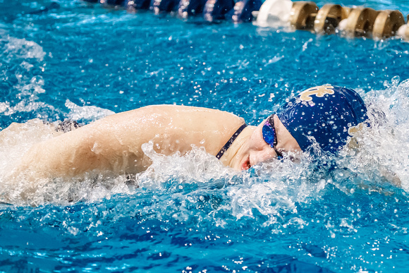 NCAA Swimming & Diving: Florida State Seminoles at Pitt Panthers
