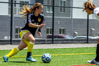 WPSL: Steel City FC vs Michigan Lions