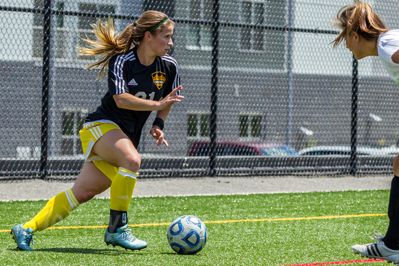 WPSL: Steel City FC vs Michigan Lions